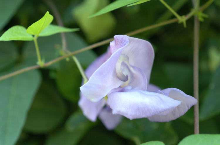DSC_0765