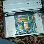 DSC_3863_resize.JPG