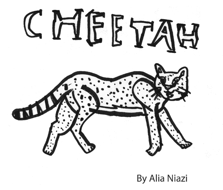 Alia_20100824-cheetah-1-s