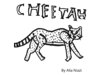 Alia_20100824-cheetah-1-s