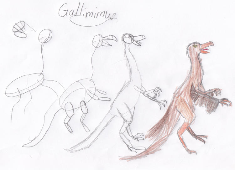 gallimimus.jpg