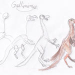 gallimimus.jpg